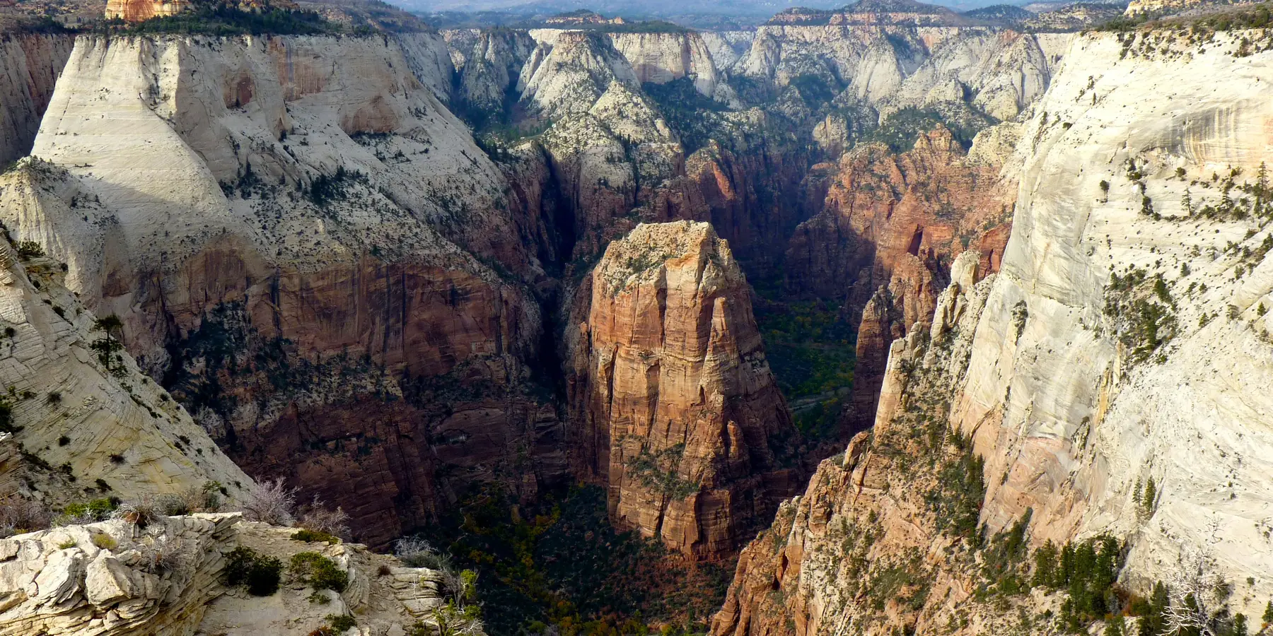 Angels Landing rising from the floor of Zion Canyon, seen from the Deertrap Mountain trail.