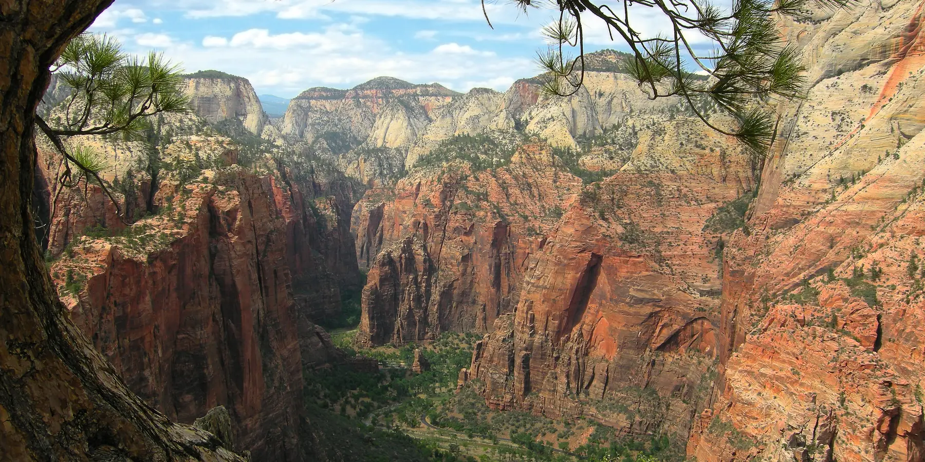 The view north up Zion Canyon from the Angels Landing trail, with green trees on the canyon floor far below.
