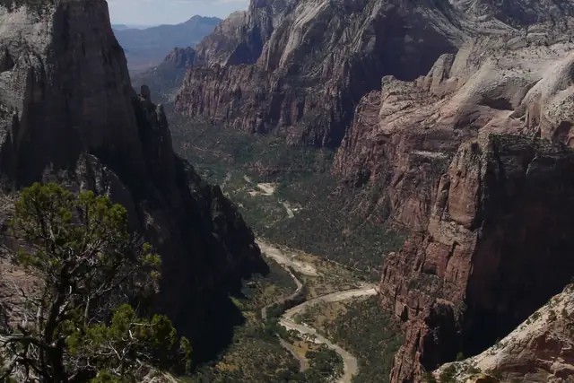 View down into Zion Canyon from the trail to Observation Point, with the river and road far below.