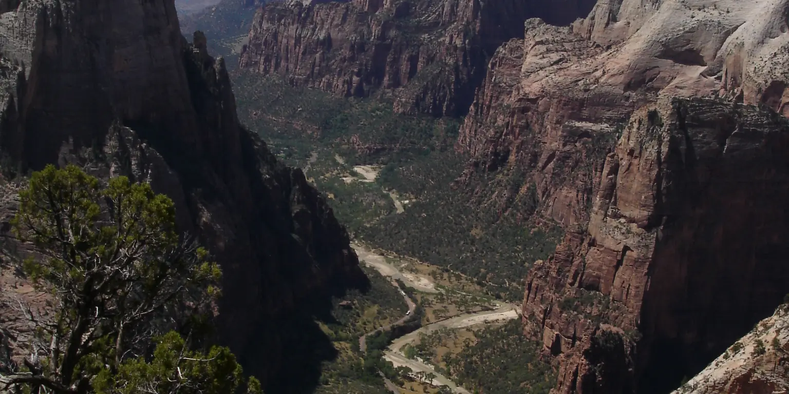 View down into Zion Canyon from the trail to Observation Point, with the river and road far below.