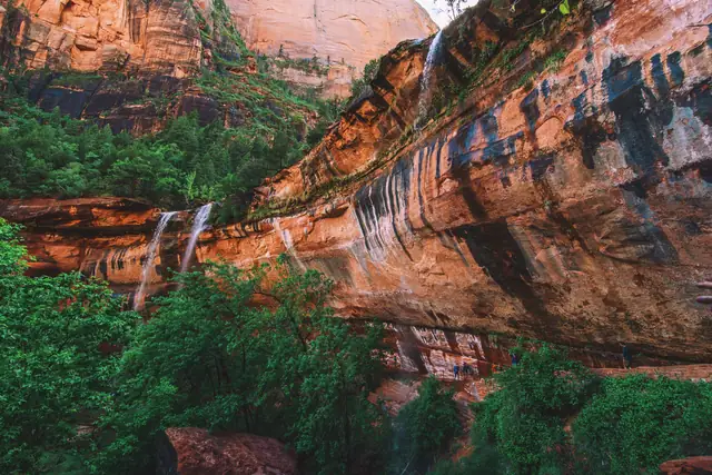 Thin waterfalls pouring over a streaked red cliff into green trees at the Emerald Pools, Zion National Park.