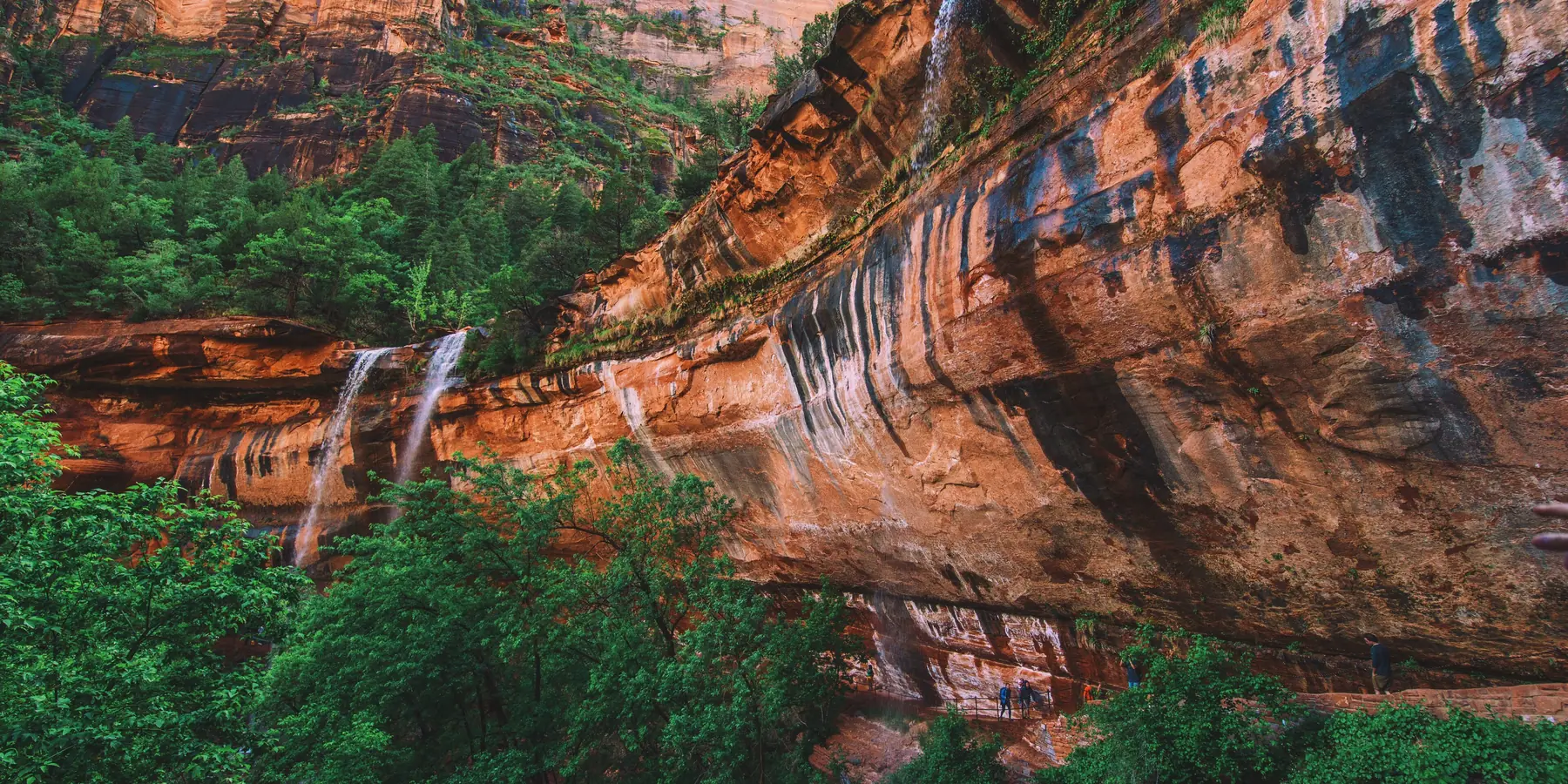 Thin waterfalls pouring over a streaked red cliff into green trees at the Emerald Pools, Zion National Park.