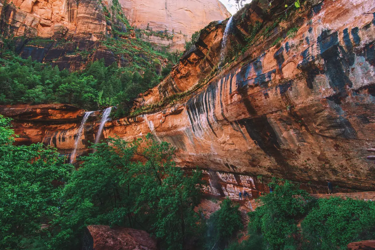 Thin waterfalls pouring over a streaked red cliff into green trees at the Emerald Pools, Zion National Park.