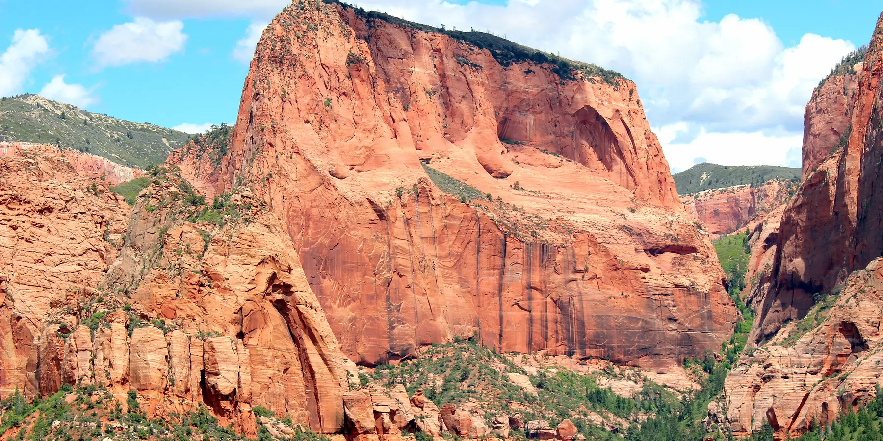 The red Finger Canyons of Kolob rising above green trees, Zion National Park.