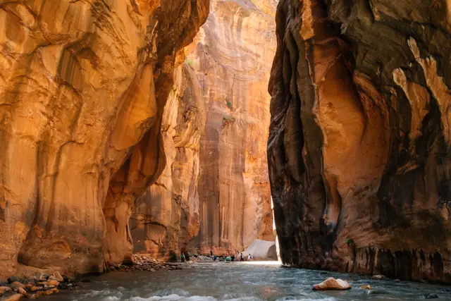 The Virgin River flowing between towering orange sandstone walls in The Narrows, Zion National Park.