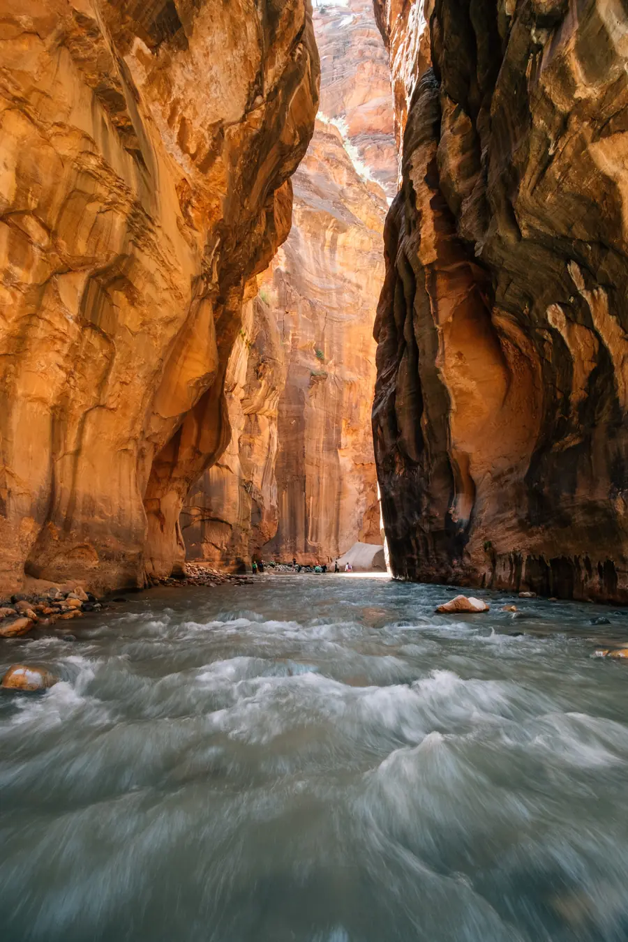 The Virgin River flowing between towering orange sandstone walls in The Narrows, Zion National Park.