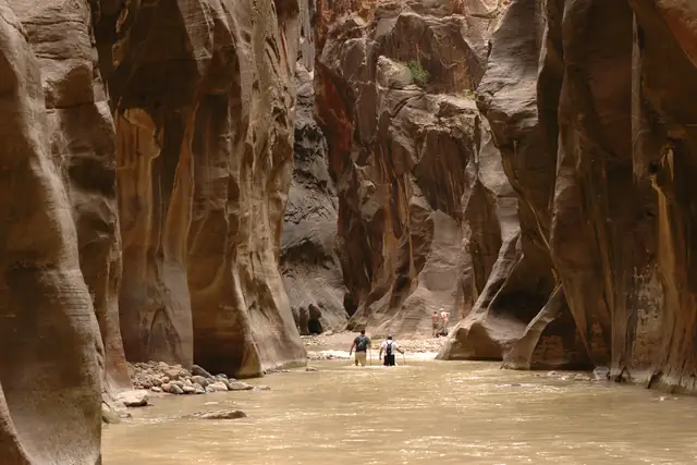 The Virgin River winding through The Narrows between sheer sandstone walls, Zion National Park.