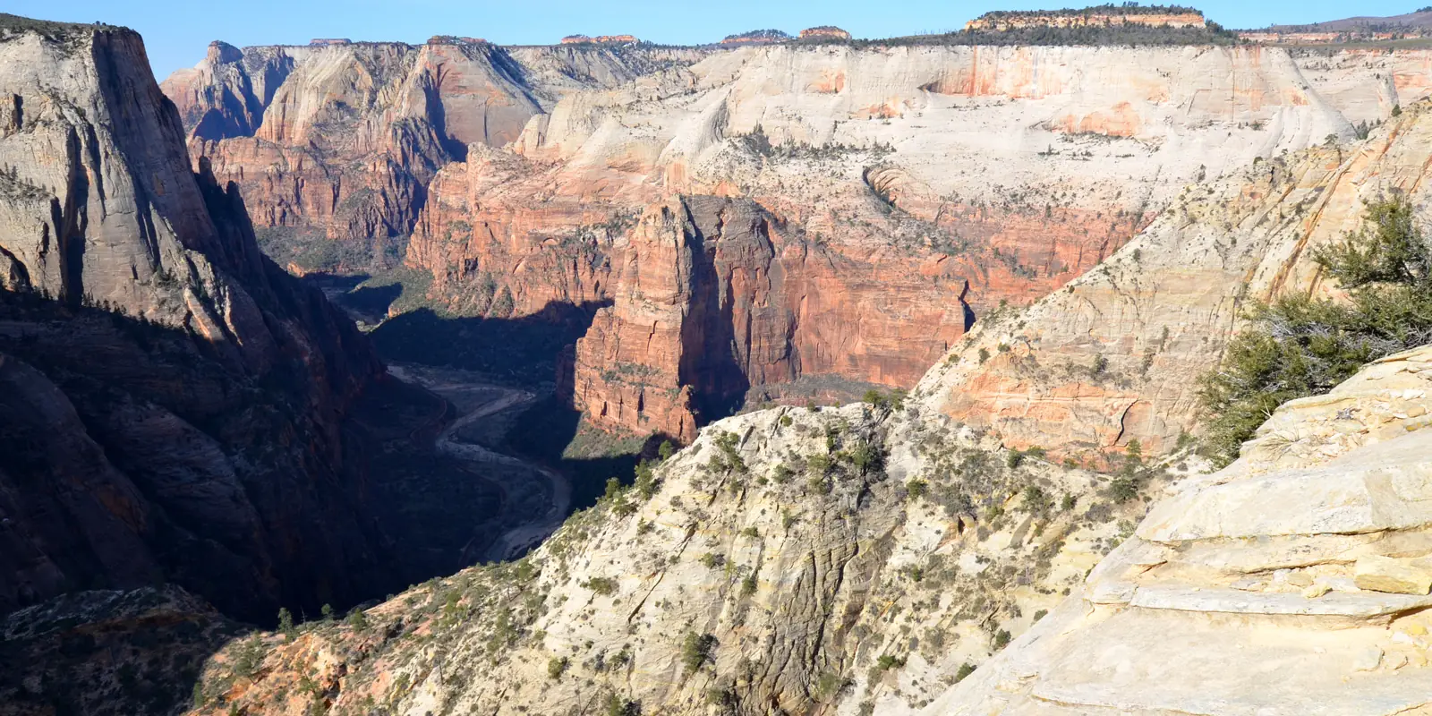 The view from Observation Point over pale and red sandstone cliffs of Zion Canyon.