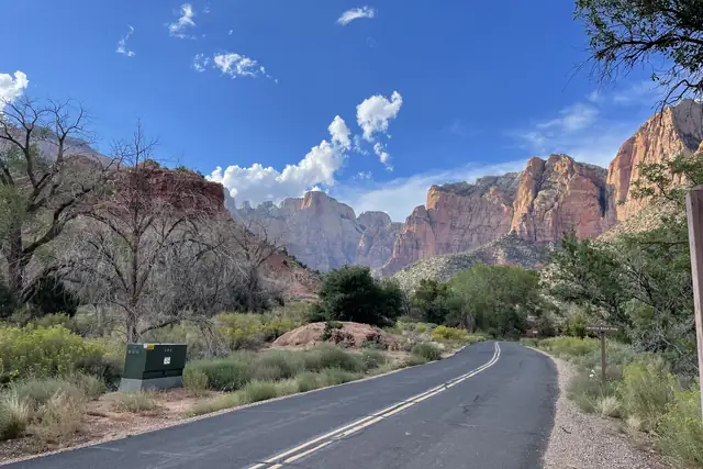 The Zion Canyon road beside the Pa'rus Trail with green trees and red cliffs under a blue sky.