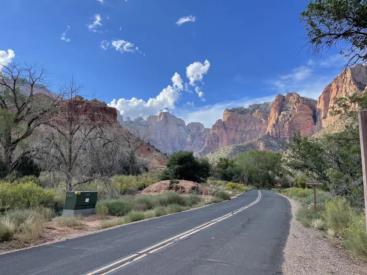 The Zion Canyon road beside the Pa'rus Trail with green trees and red cliffs under a blue sky.