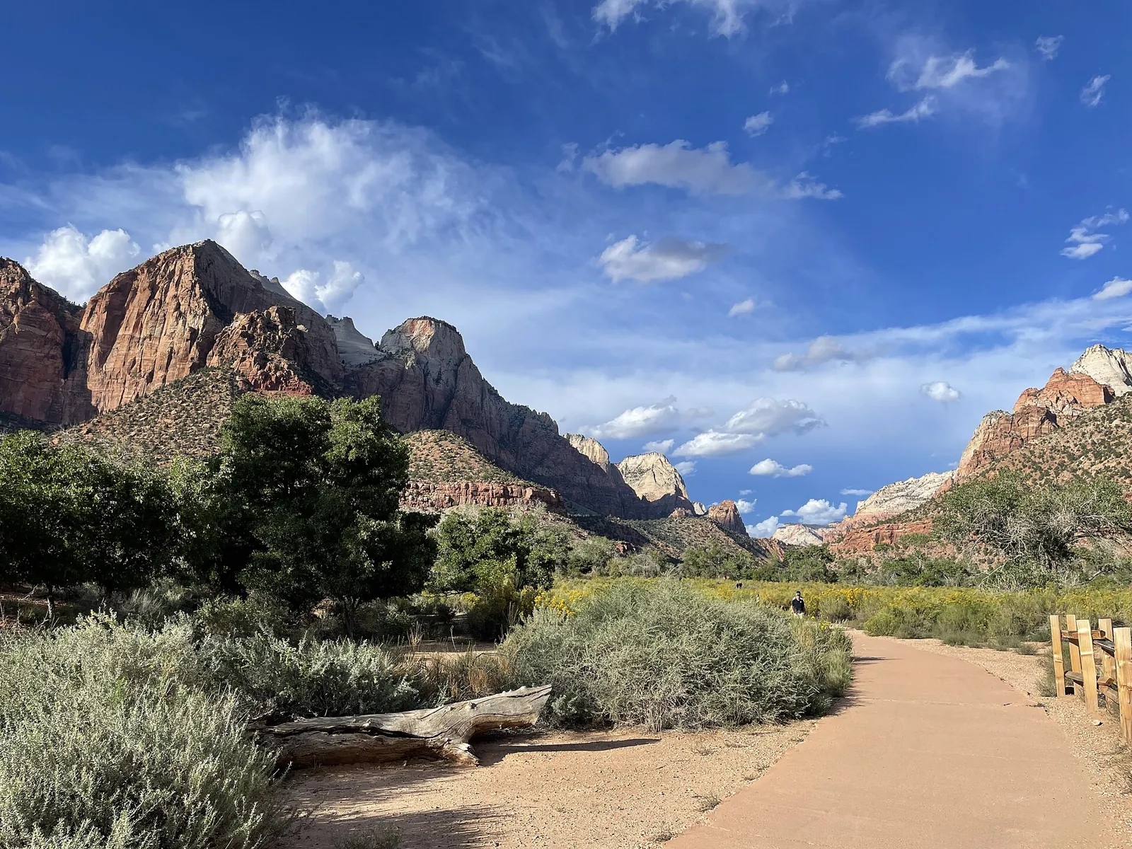 The paved Pa’rus Trail bending past sagebrush and cottonwoods, with Zion’s sandstone cliffs behind it.