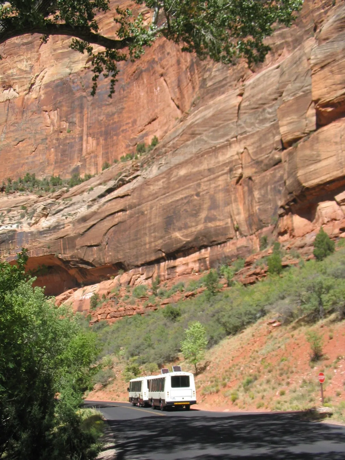 A park shuttle bus driving up Zion Canyon beneath towering red sandstone walls.