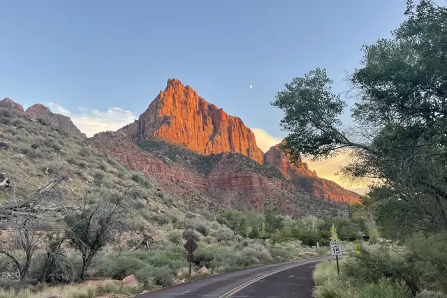 Sunset glow on the Watchman peak above the road into Watchman Campground, Zion National Park.