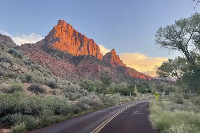 The Watchman lit orange at sunset above a curving road and green trees, Zion National Park.