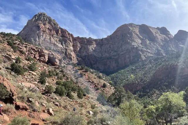 Red and cream cliffs and green desert shrubs seen from the Watchman Trail, Zion National Park.