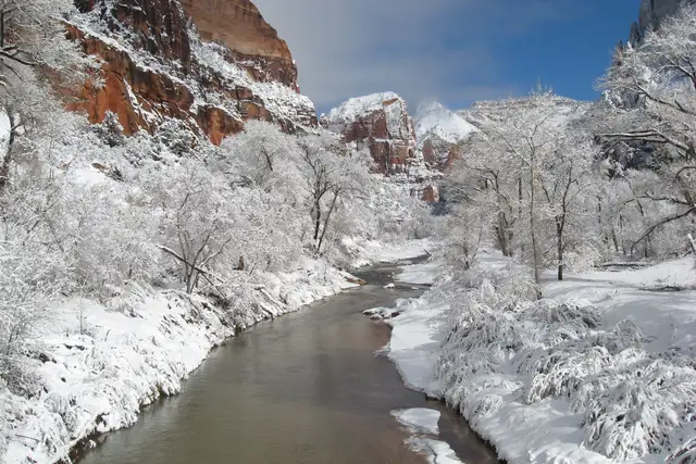 Snow on cottonwoods and red cliffs along the Virgin River in winter, Zion National Park.